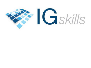 I IG SKILLS logo