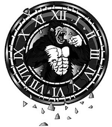 I, II, III, IV, V, VI, VII, VIII, IX, X, XI, AND XII.. logo