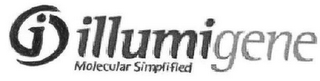 I ILLUMIGENE MOLECULAR SIMPLIFIED logo