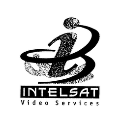 I INTELSAT VIDEO SERVICES logo