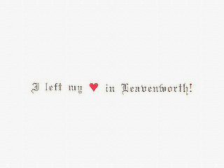I LEFT MY IN LEAVENWORTH! logo