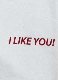 I LIKE YOU! logo