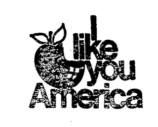 I LIKE YOU AMERICA