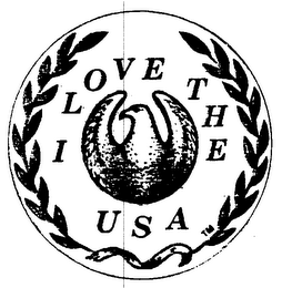 I LOVE THE USA logo