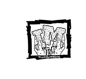 I M T.V. IGUANA MIRAGE TELEVISION logo