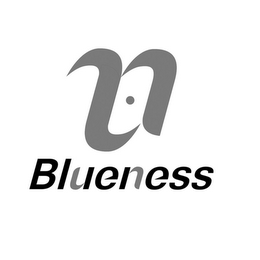 I N BLUENESS logo