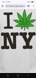 I NY logo