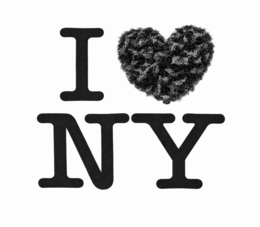 I NY logo