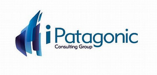 I PATAGONIC CONSULTING GROUP logo