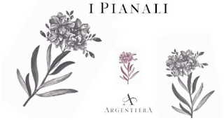 I PIANALI A ARGENTIERA logo