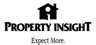 I PROPERTY INSIGHT EXPECT MORE. logo