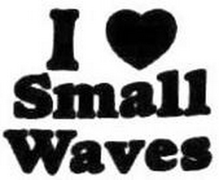 I SMALL WAVES logo