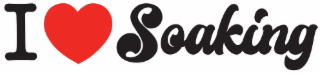 I SOAKING logo