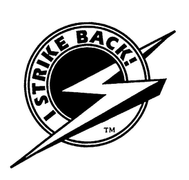 I STRIKE BACK! logo