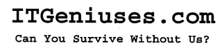 I T GENIUSES. COM logo