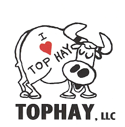 I TOP HAY TOPHAY, LLC logo