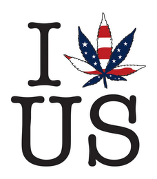 I US logo