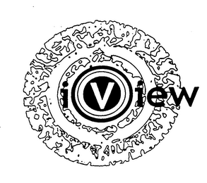 I VIEW logo