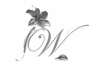 I W logo