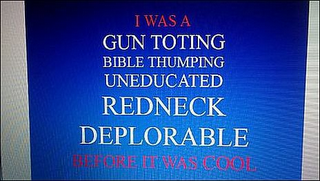 I WAS A GUN TOTING BIBLE THUMPING UNEDUCATED REDNECK DEPLORABLE BEFORE IT WAS COOL logo