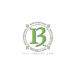 I3 BAND OF BROTHERS THE CHOSEN FEW logo