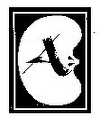 IA logo