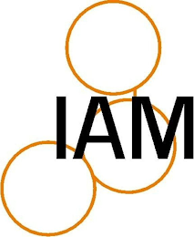 IAM logo