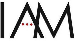 IAM logo