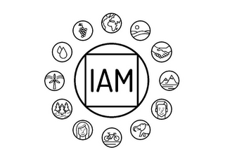 IAM logo