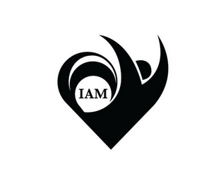 IAM logo