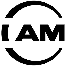 IAM logo