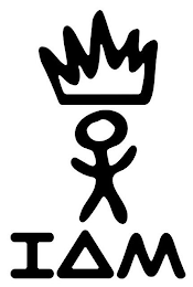 IAM logo