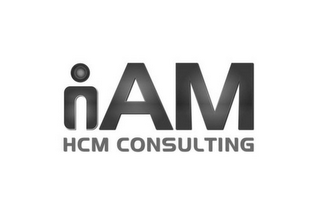 IAM HCM CONSULTING logo