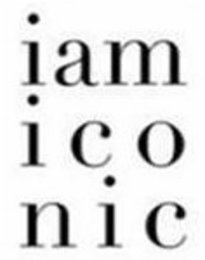 IAM ICO NIC logo