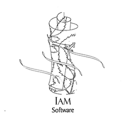 IAM SOFTWARE logo
