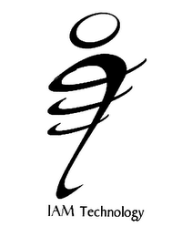 IAM TECHNOLOGY logo