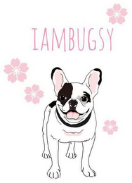 IAMBUGSY logo