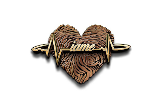 IAME logo