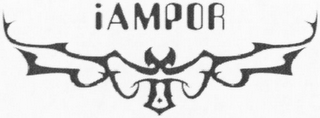 IAMPOR logo