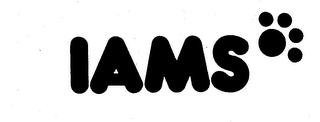IAMS logo