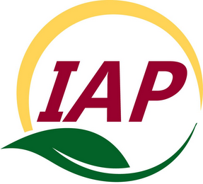IAP logo