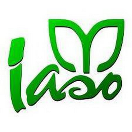 IASO logo