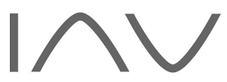 IAV logo