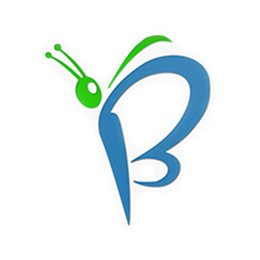 IB logo