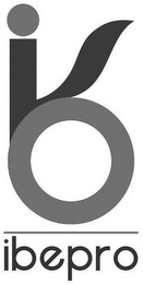 IB IBEPRO logo