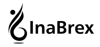IB INABREX logo
