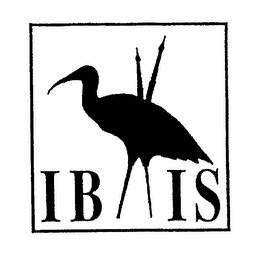 IB IS logo