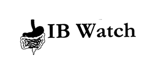 IB WATCH logo