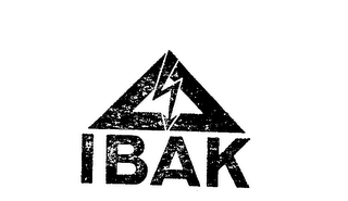 IBAK logo