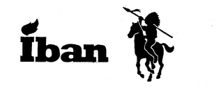 IBAN logo